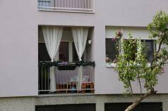 Mini IMG 1701